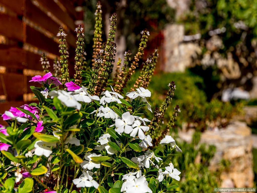 Fotinis Cottage Symi Bagian luar foto